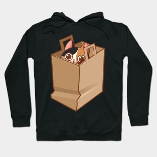 Calico cat in the bag Hoodie